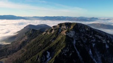 Ormanlı dağlık arazinin havadan görünüşü. Sis dolu bir vadi. Yoğun sis, sonbahar manzarasını sabah ışığında görkemli dağ zirvesinin altında kaplıyor. Yüksek kalite 4k görüntü