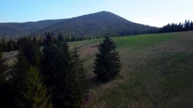 Ormanların, dağların kurak havadan çekilmiş görüntüleri. Yüksek kalite 4k görüntü