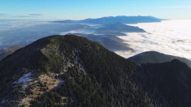 Ormanlı dağlık arazinin havadan görünüşü. Sis dolu bir vadi. Yoğun sis, sonbahar manzarasını sabah ışığında görkemli dağ zirvesinin altında kaplıyor. Yüksek kalite 4k görüntü