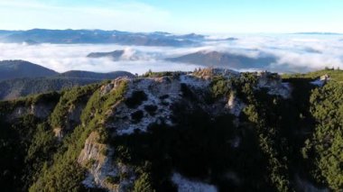 Ormanlı dağlık arazinin havadan görünüşü. Sis dolu bir vadi. Yoğun sis, sonbahar manzarasını sabah ışığında görkemli dağ zirvesinin altında kaplıyor. Yüksek kalite 4k görüntü
