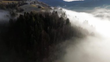 Geç Sonbahar Ormanı ve Sabah Sisi 'yle Meadows. Hava görüntüsü. Yüksek kalite 4k görüntü
