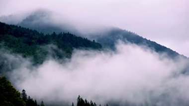 Yoğun yeşil bir orman ve yağmurlu bir günde dağ sırtlarında yuvarlanan yoğun sisli büyüleyici bir zaman dilimi videosu. Sisin hareketi karamsar, gizemli ve sakin bir atmosfer yaratıyor.