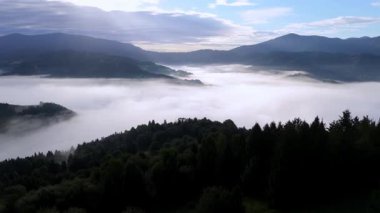 Bir hava aracı atışı ağaçların üzerinde sorunsuzca ilerler, yoğun sis dolu bir vadiye doğru uzanır, belirgin dağ sırtlarıyla çevrilidir. Sahne, sakin ve doğal bir manzarayı farklı bir şekilde yakalar.