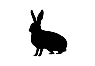 Vektör tavşan silueti. Beyaz arkaplanda izole edilmiş tavşan silueti simgesi.
