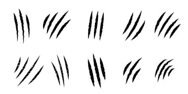 Hayvan pençesi çizikleri. Hayvan tırmalama izleri. Vektör