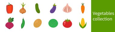 Sebze koleksiyonu. Sağlıklı beslenme kavramı. Soğan, sarımsak, salatalık, domates, mısır, patlıcan, paprika, patates, lahana, havuç, bezelye, kırmızı pancar. Vektör illüstrasyonu