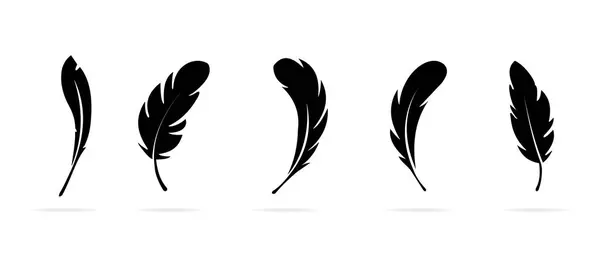 Tüylü vektör simgeleri. Kuş tüylerinin siyah siluetleri.