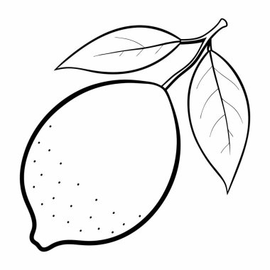Limon çizgisi çizimi. Yaprak çizimi olan limon. Sağlıklı vejetaryen gıda kavramı