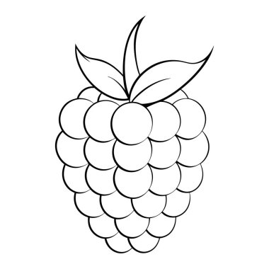 Ahududu çizgisi sanat illüstrasyonu. Yapraklı ahududu. Sağlıklı vejetaryen gıda kavramı