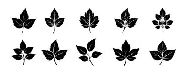 Yaprak Silueti Çizimi izole edildi