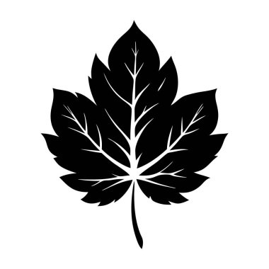 Yaprak Silueti Çizimi izole edildi