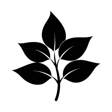 Yaprak Silueti Çizimi izole edildi