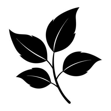 Yaprak Silueti Çizimi izole edildi