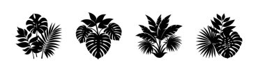 Palm Leaf Siluet Çizimi