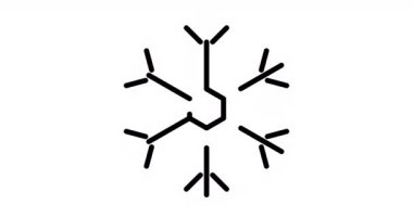 Alfa kanallı Snowflake animasyon çizim simgesi. Web, mobil ve ui tasarımı için Kar Tanesi 4k hareketli animasyon