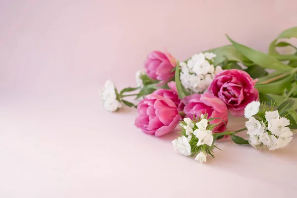 Roze Tulpen Bloemen Roze Achtergrond Wachten Lente Gelukkige Pasen Kaart Rechtenvrije Stockafbeeldingen