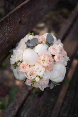 Gelinin koyu arkaplanda pembe şakayık demeti. Sarah Bernard şakayıkları.