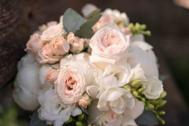 Gelinin koyu arkaplanda pembe şakayık demeti. Sarah Bernard şakayıkları.