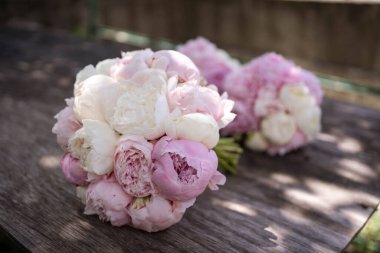 Siyah arka planda pembe şakayık demetleri. Sarah Bernard şakayıkları.