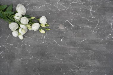 White eustoma flower on gray stone background, copy space. 8 march concept.