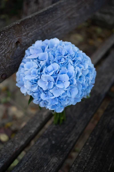 Blue hydrangea wedding bouquet. Bridal bouquet. Wedding day.