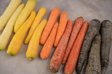 Gri arka planda renkli Gökkuşağı havucu. Renkli havuç, sarıdan mora sarı, turuncu ve mor havuç. Üst görünüm.