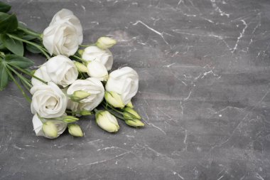 White eustoma flower on gray stone background, copy space. 8 march concept.