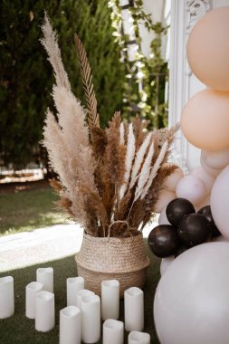 Estetik lüks bohem çiçek kompozisyonu. Zarif, yumuşak tavşan kuyruğu otlar, tarçınlı bankta zencefilli kil çömlek buketi saplar..