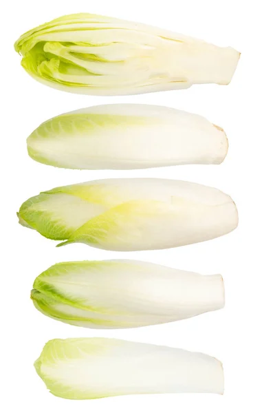 Salad Chicory Diisolasi Pada Latar Belakang Putih Dengan Jalur Kliping — Stok Foto