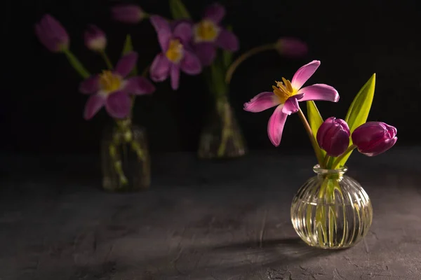 Purple Tulips Glass Vase Darck Table Fresh Cut Flowers — Stock Photo, Image