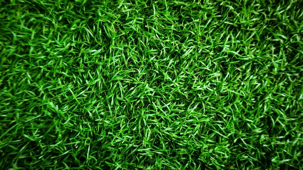 Grünes Gras Hintergrund Mit Verschwommenem Overlay — Stockfoto