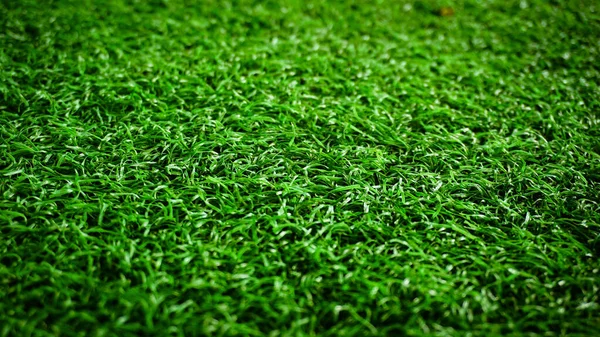 Green Grass Background Blur Overlay — Stock Photo, Image