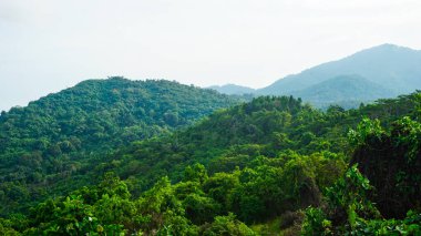 Yeşil tropikal ormanlarla kaplı tepelerin canlı bir görüntüsü. Arka planda parlak, berrak bir gökyüzü. Doğal manzaraların güzelliğini ve dinginliğini ve çevreyi gözler önüne seriyor.