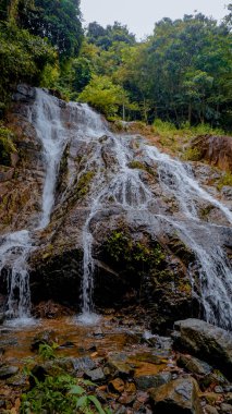 Doğal bir şelale manzarası bol yeşil orman bitkileriyle çevrili kayaların üzerinde şelale gibi. Huzur ve sükunet yayıyor.
