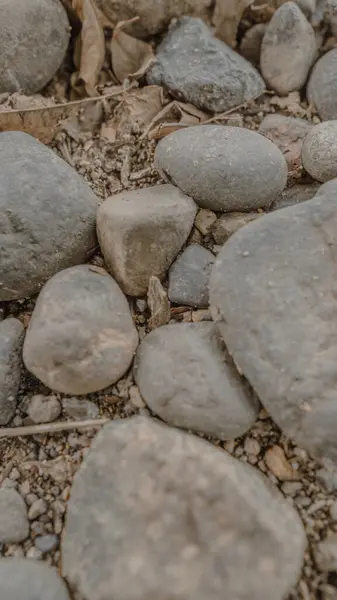Kumlu bir yüzeyde çeşitli boyutlardaki gri taşları kapat.