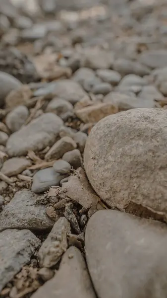 Kumlu bir yüzeyde çeşitli boyutlardaki gri taşları kapat.