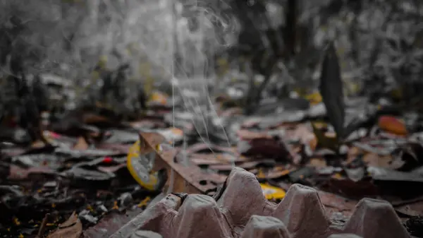 Ormanın zemininde, arka planda yükselen yapraklar ve dumanlarla çevrili bir karton yumurta kutusu gizemli bir atmosfer yaratıyor..