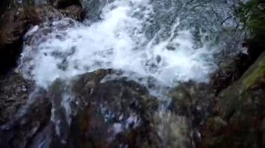 Ormandaki kayaların üzerinde çağlayan küçük bir şelalenin yakınında..