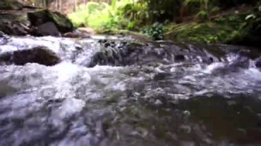 Berrak suların yemyeşil bir ormanda kayaların üzerinden aktığı küçük bir derenin yakınında..