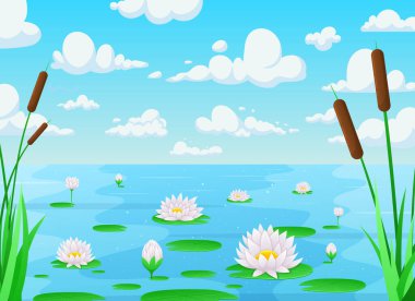 Su zambağı arkaplan illüstrasyonu