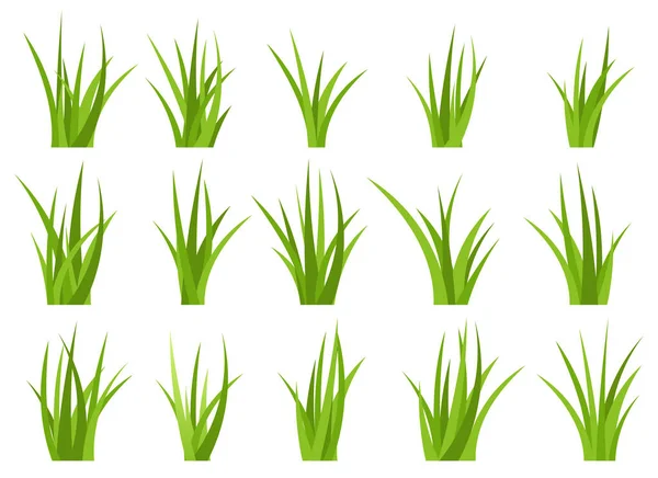 Green Grass Vector Design Illustration Isolated White Background — Stock Vector
