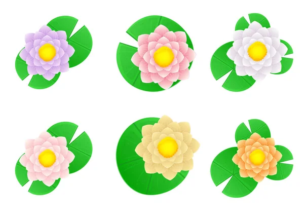 Illustration Conception Vectorielle Fleurs Nénuphar Isolé Sur Fond — Image vectorielle