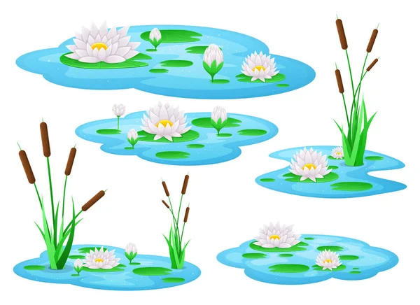 Water Lily Flower Vector Design Illustration Isolated Background — Stock Vector