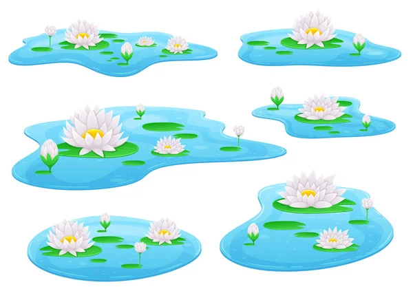 Seerose Blume Vektor Design Illustration Isoliert Auf Dem Hintergrund — Stockvektor