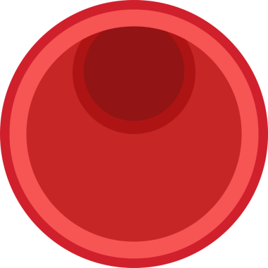 Bir kan damarının enine kesitinin görüntüsü. İçerisi zengin bir kırmızıdır. Duvarın derinlik ve detaylar için kırmızı tonlarda çeşitli katmanları vardır..