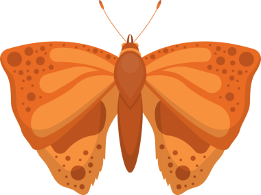 Turuncu renk şemasına sahip bir kelebeğin çizimi, benekler ve kıvrımlarla detaylandırılmış kanatlar, simetrik olarak gösterilmiş, doğa temaları için uygun..