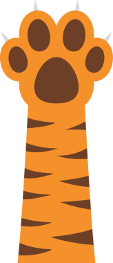 Bu sanat eseri bir kedinin karikatür tarzı patisini tasvir ediyor. Pençesi turuncu, kahverengi çizgili ve pedleri keskin beyaz pençelerle tamamlanmış. Garip bir hayvan tasviri..