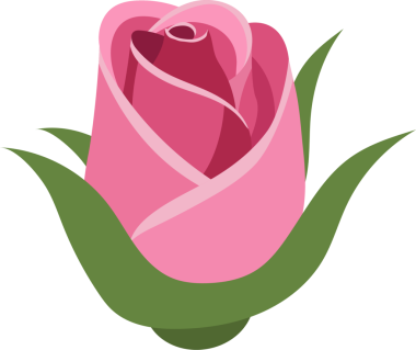 Kapalı pembe gül tomurcuğunun stilize edilmiş bir çizimi ve sarmal bir şekil oluşturan taç yaprakları. Çiçek yeşil sepallerle çevrili, hepsi de siyah arka planda izole edilmiş..