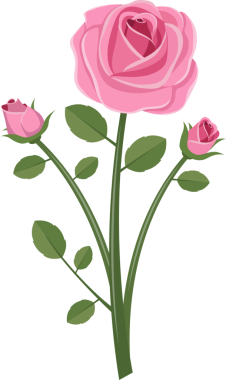 İki gül tomurcuğuyla çiçek açan pembe bir gülün çizimi. Siyah arka planda yeşil yaprakları ve sapları var. Grafik biçimi düz ve basit.