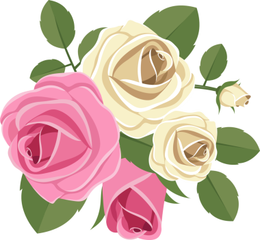 Kapalı ve açık yapraklı pembe ve kremalı güller koyu yeşil yapraklarla çevrili, hepsi de siyah bir zemine karşı. Resimler çok renkli..